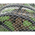 HDPE tricoté en plastique résistant anti-filet d&#39;oiseau blanc couleur verte